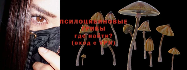кокс Алзамай