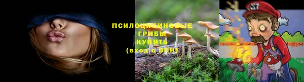 ALPHA-PVP Алексин