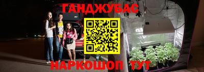 прущие грибы Кулебаки
