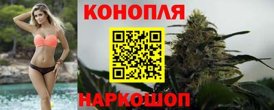 прущие грибы Кулебаки