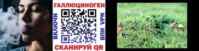 Галлюциногенные грибы Psilocybine cubensis  мориарти состав  Зеленогорск 