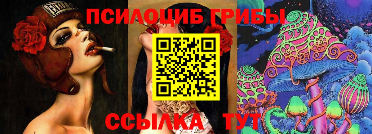 Зеленогорск  Галлюциногенные грибы MAGIC MUSHROOMS  Галлюциногенные грибы MAGIC MUSHROOMS  Вход с VPN 