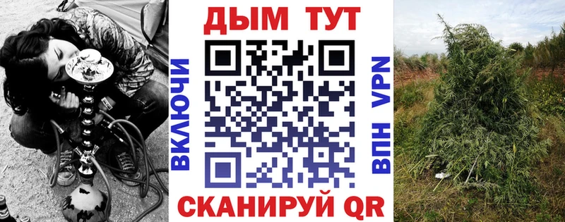 дарнет шоп  Зеленогорск  Марихуана семена 
