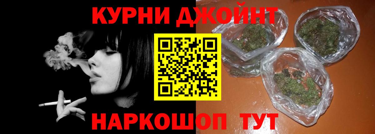 МАРИХУАНА сатива Зеленогорск